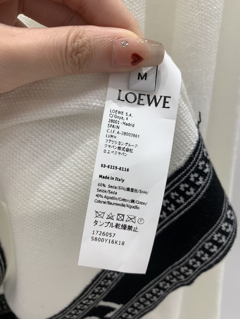 Loewe Sweaters